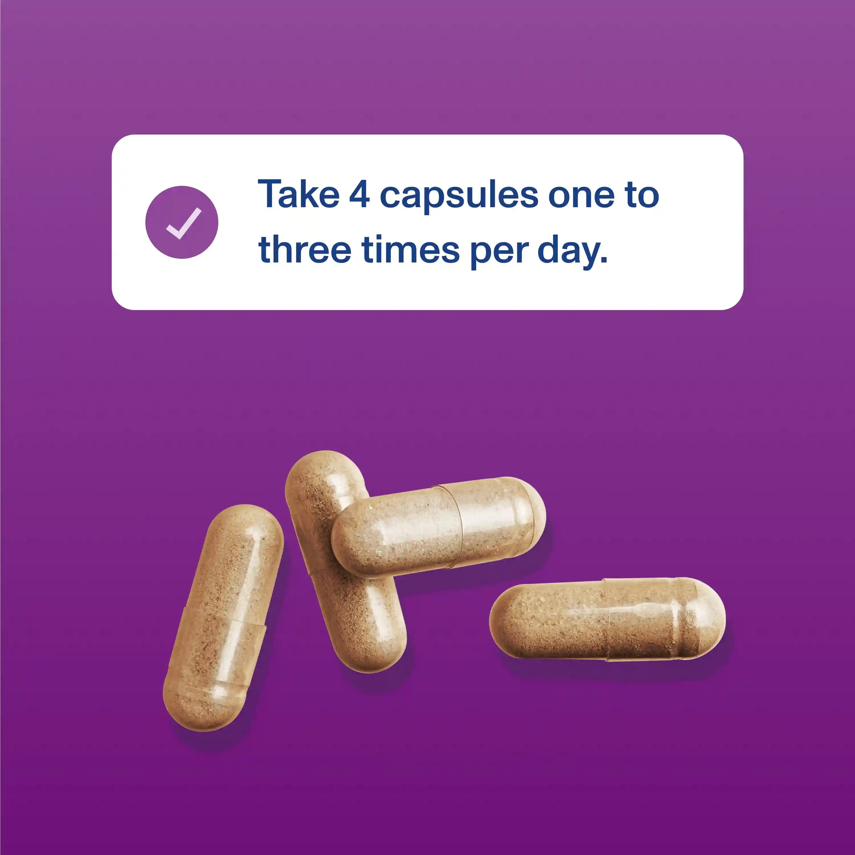 vitalproteinscart.it.com
