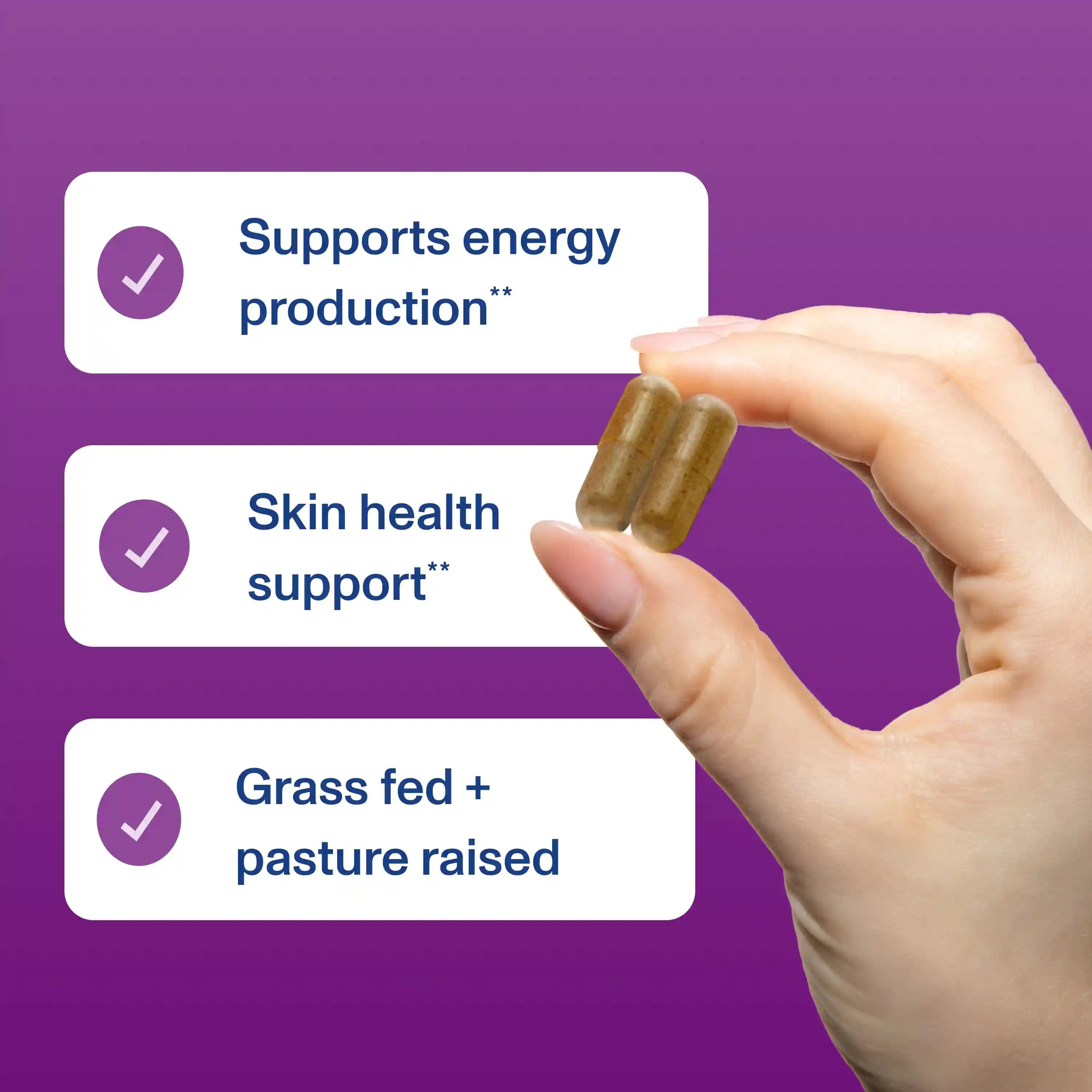 vitalproteinscart.it.com